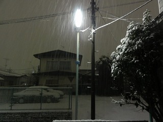 20120123 雪_S.jpg