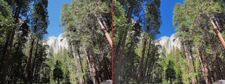 201203011_サンプル.jpg