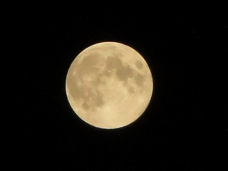 20130919_01.jpg