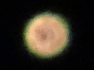 20160605_03.jpg