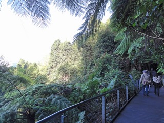 4_127_1690.jpg