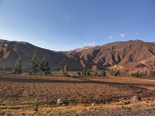 6-003-0662.jpg