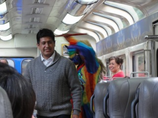 6-003-1166.jpg