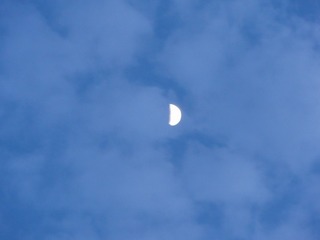 6-005-1607.jpg