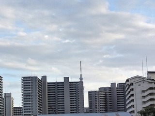6-006-2088.jpg