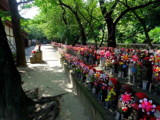 20160812_047.jpg
