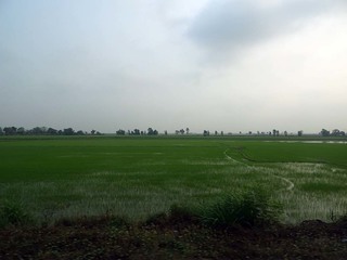 11-03-0463.jpg