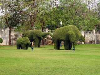 11-03-0500.jpg
