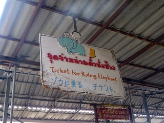 11-03-0547.jpg