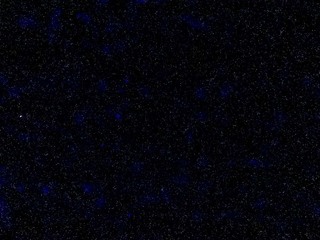 12-04-1134.jpg