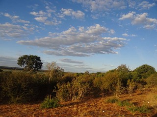 14-03-1145.jpg