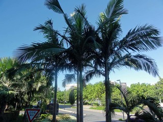 4-02-0050.jpg