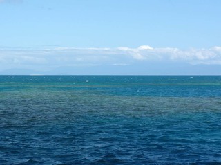 4-03-0557.jpg