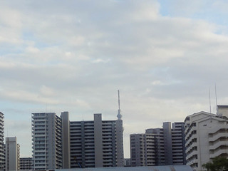 6-06-2088.jpg