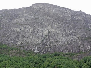 7-003-0520.jpg