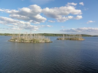 7-005-1651.jpg